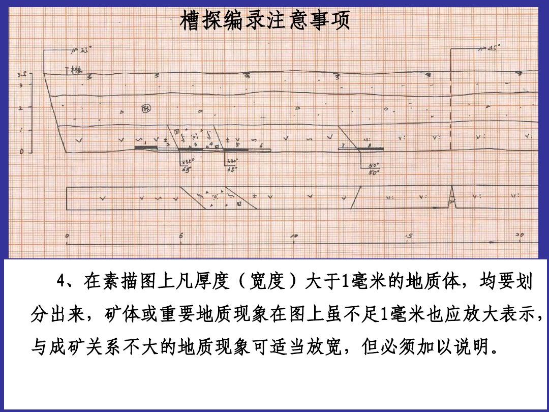 永福罗汉果 12个